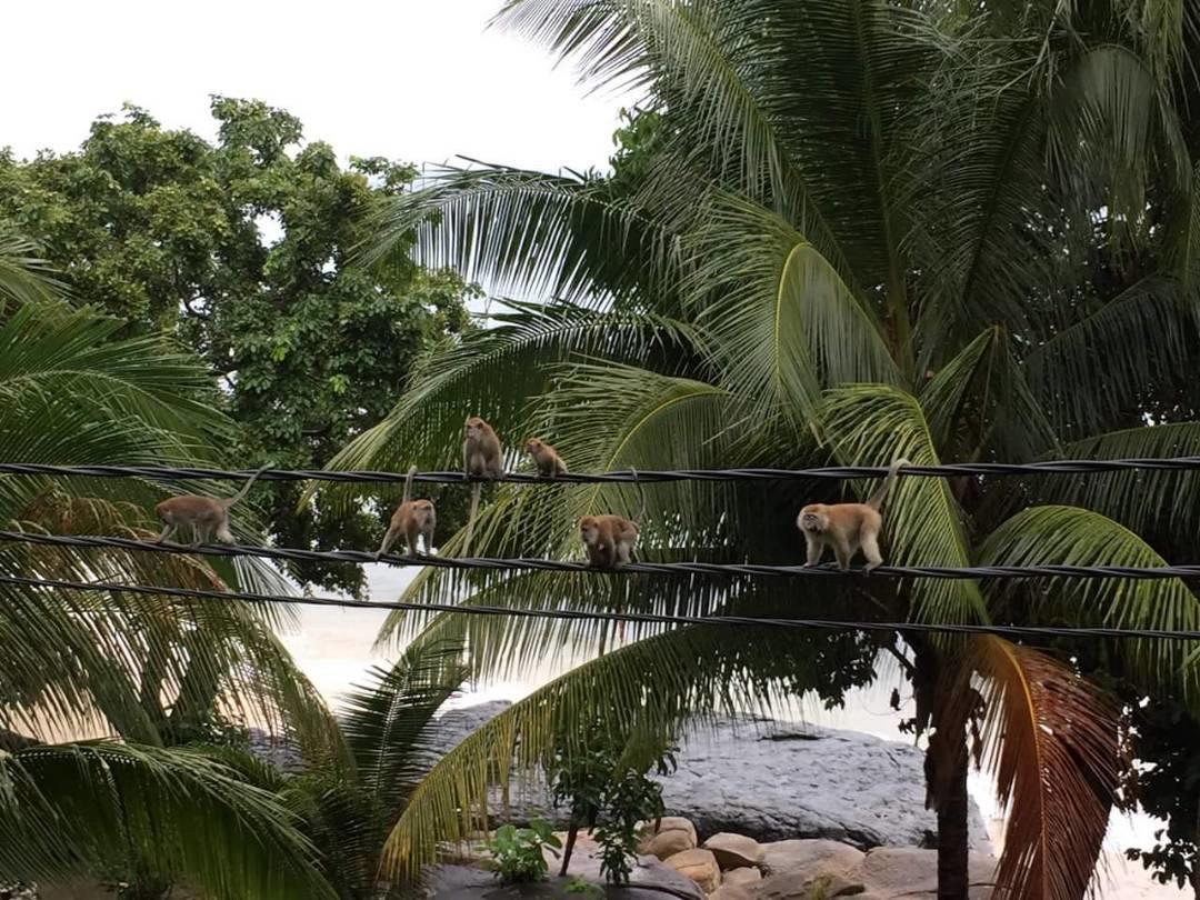 Simukut Place Kampong Pasir Sanang Burong Exteriör bild