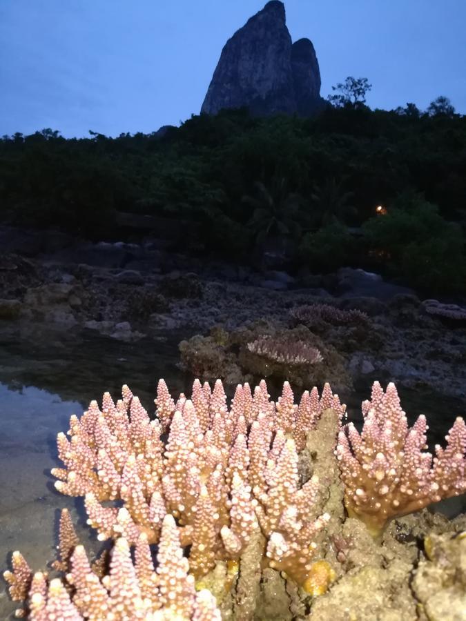 Simukut Place Kampong Pasir Sanang Burong Exteriör bild
