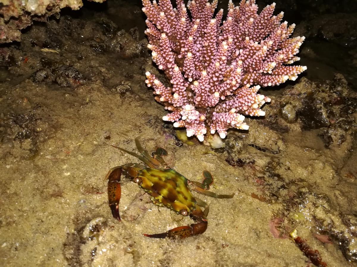 Simukut Place Kampong Pasir Sanang Burong Exteriör bild
